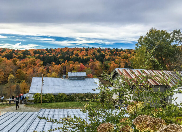 Colorado Moves to Speed Clean Energy Access with Solar & Storage Push