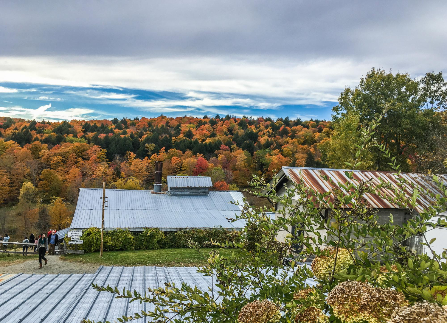 Colorado Moves to Speed Clean Energy Access with Solar & Storage Push